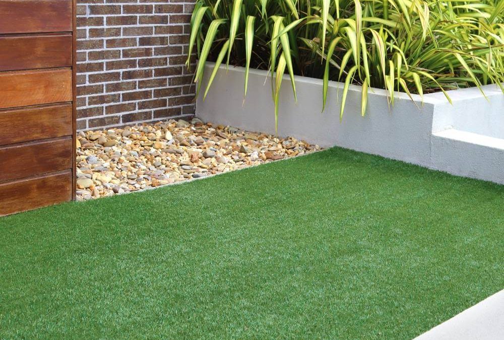 Nurture Your Lawn to Perfection: Lawn Care in Toronto