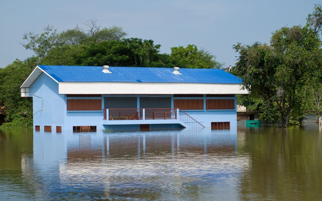 Water Damage Restoration in Saunders County, NE: Restoring Homes and Peace of Mind