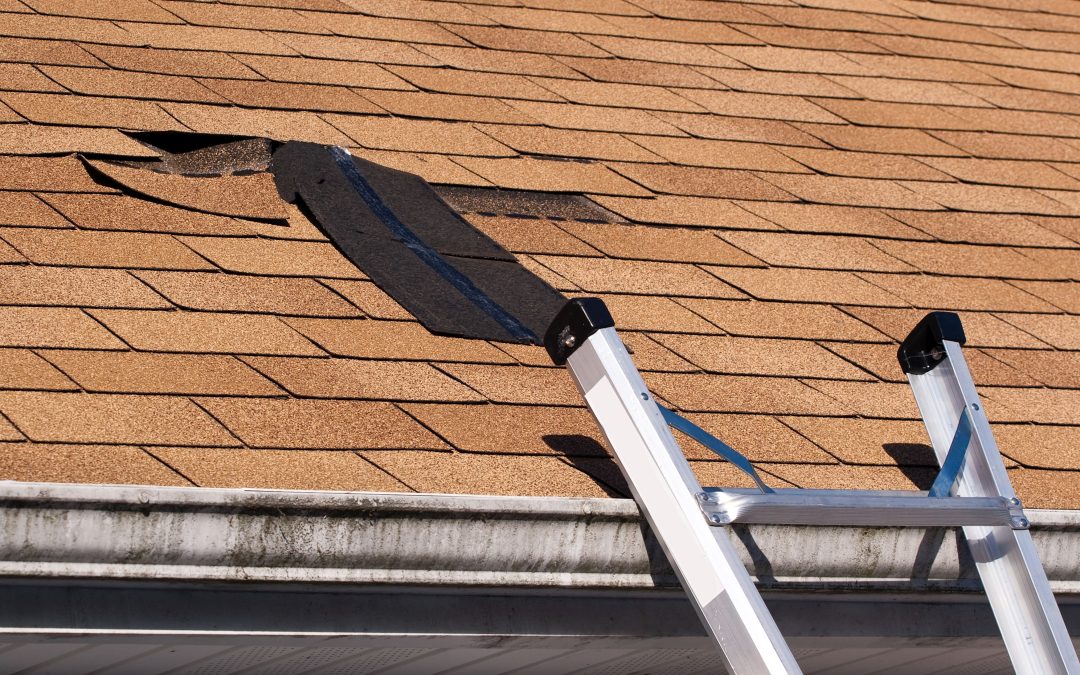 A Complete Guide to Mastering Roofing in Sarasota, FL