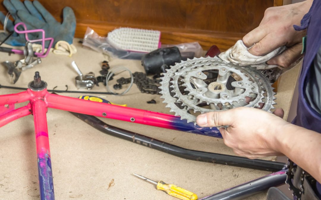 Exploring the Thriving Scene of Bike Dealer in Salem, MA