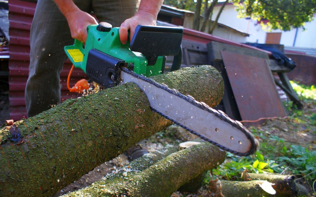 Tree Cutting Services in Brentwood, TN: An Overview to Improve Your Outside Area