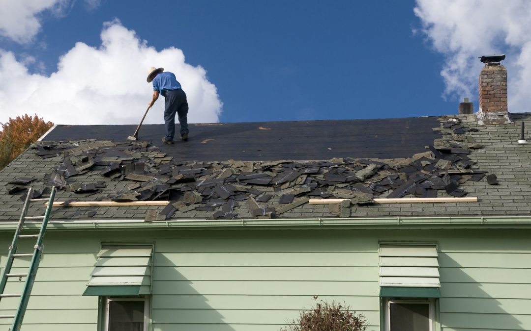 Elevating Homes and Safeguarding: Premier Roofing Company in Austin