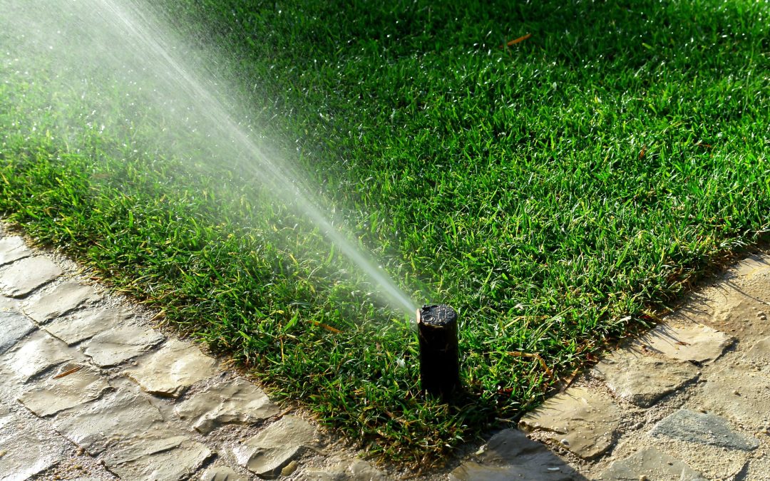 Achieve Lawn Perfection with Top Irrigation Companies in Austin