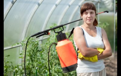 The Rise of Eco-Friendly Fungicide Crop Spraying in Heyworth to Combat Crop Diseases While Protecting the Environment