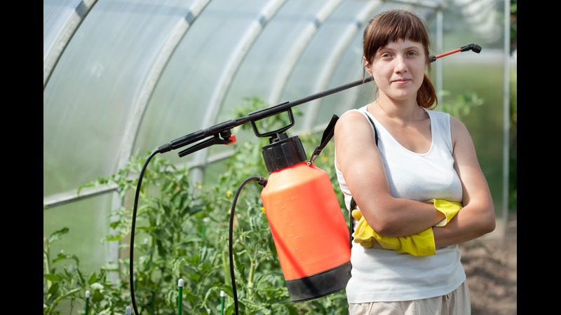 The Rise of Eco-Friendly Fungicide Crop Spraying in Heyworth to Combat Crop Diseases While Protecting the Environment