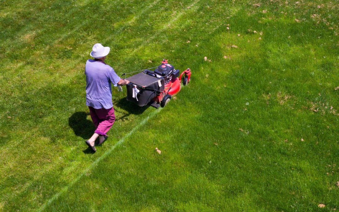 Cultivating Excellence in Greenery Through Premier Commercial Lawn Care Services in Maple Grove