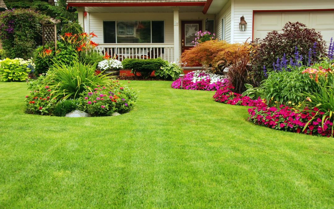 Transform Your Outdoor Space: The Advantages of Commercial Lawn Care Services in Maple Grove