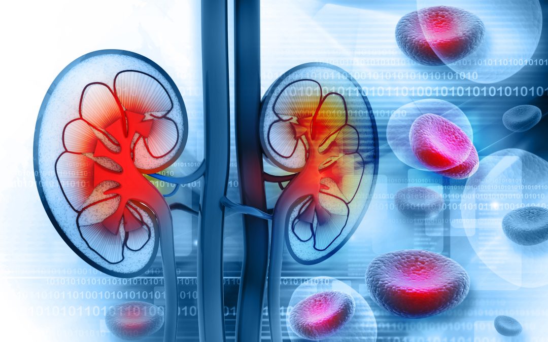 Early Signs of Aortic Aneurysm in Manassas VA and When to Seek Medical Attention