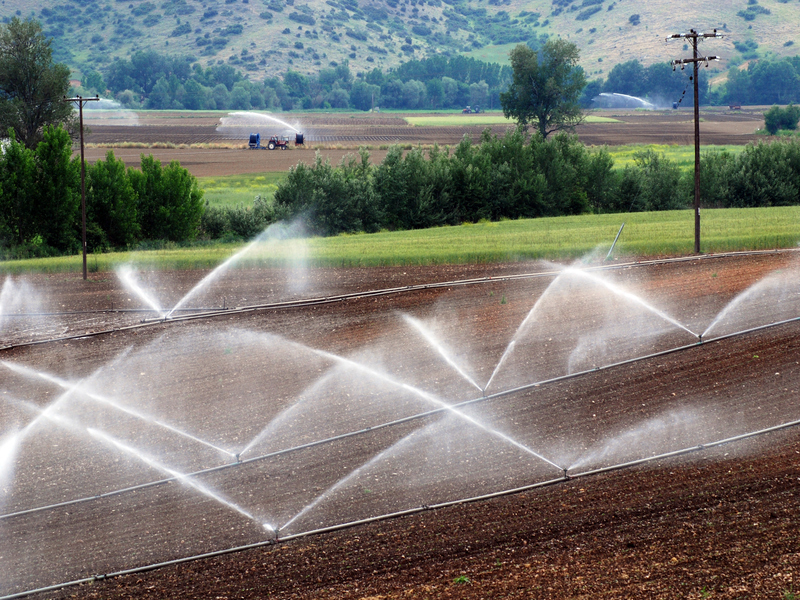 Save Water and Money with Efficient Irrigation Repair Round Rock Homeowners Trust