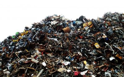 Find Out How Beverage Container New York Laws Impact Your Recycling Success