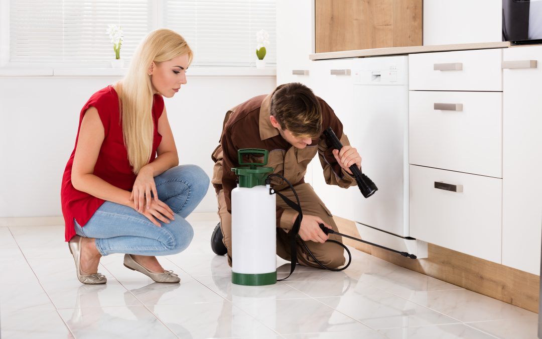 Practical solutions for home safety with insect control, Crown Point, IN residents trust most.