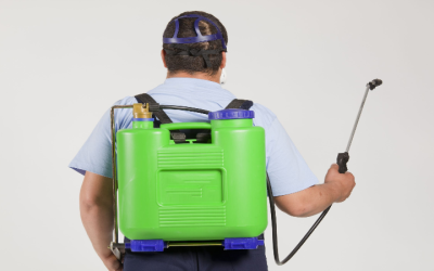 Protect Your Home With Pest Control Services in Plymouth County MA Residents Trust Most