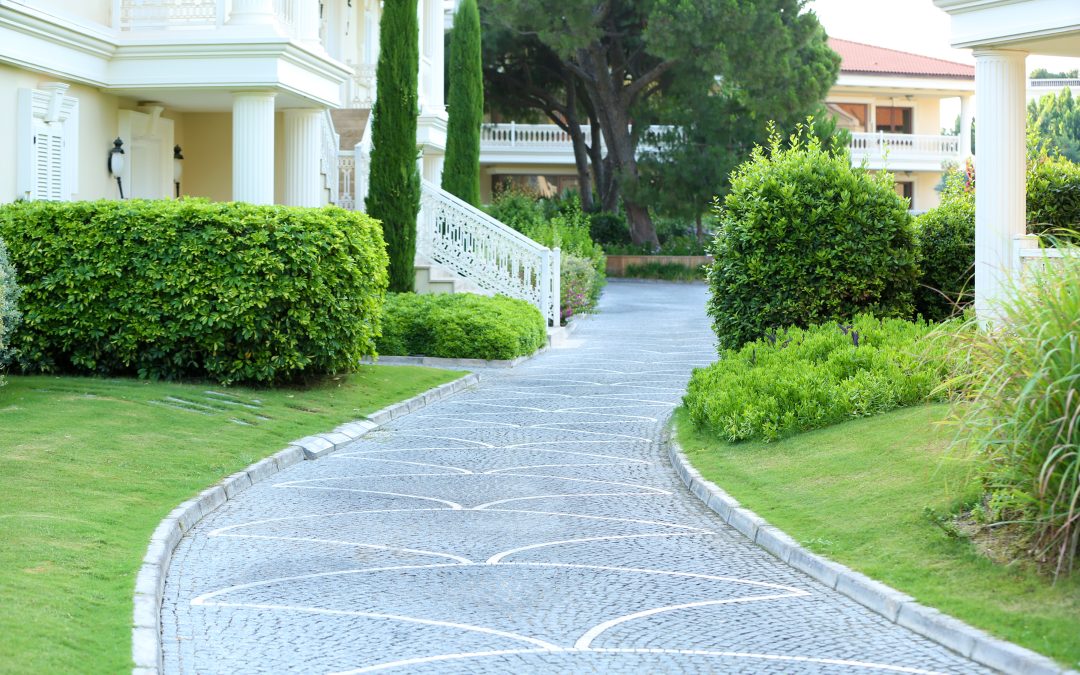 Creating the Perfect Backyard Retreat with Expert Landscaping