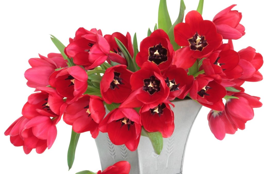 Surprise Loved Ones with Unique Flower Arrangement, Florist Jackson, MS, Ideas for Every Occasion
