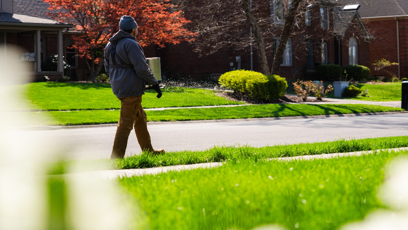 Enhance your curb appeal with professional lawncare near New Albany, IN, for lush, healthy grass