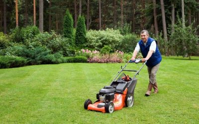 Save Time Maintaining Beautiful Lawns Through Landscape Services Sonoma CA Experts