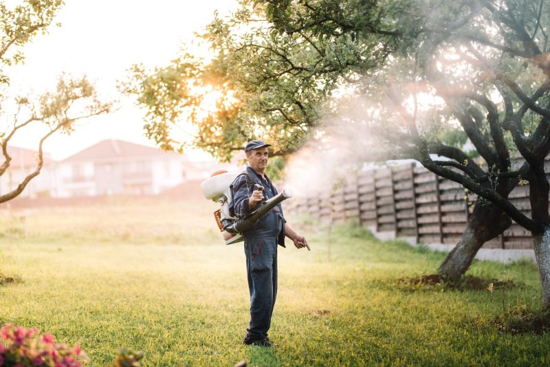Industrial agricultural details – farmer working, spraying pesticides in fruit orchard