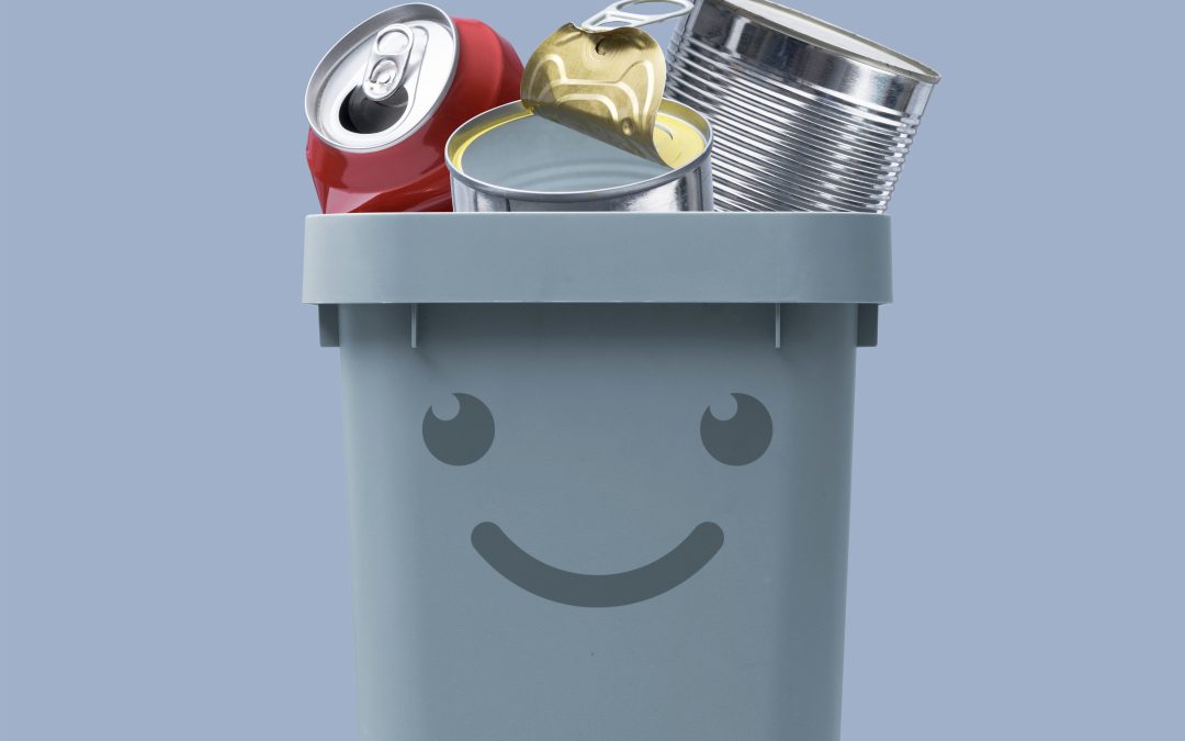 Cleaner Neighborhoods Start With Trash Pickup Services Buena Vista VA Residents Rely On