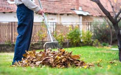 Find Reliable Commercial Landscaping Equipment Minnetonka, MN Businesses Trust for Efficiency