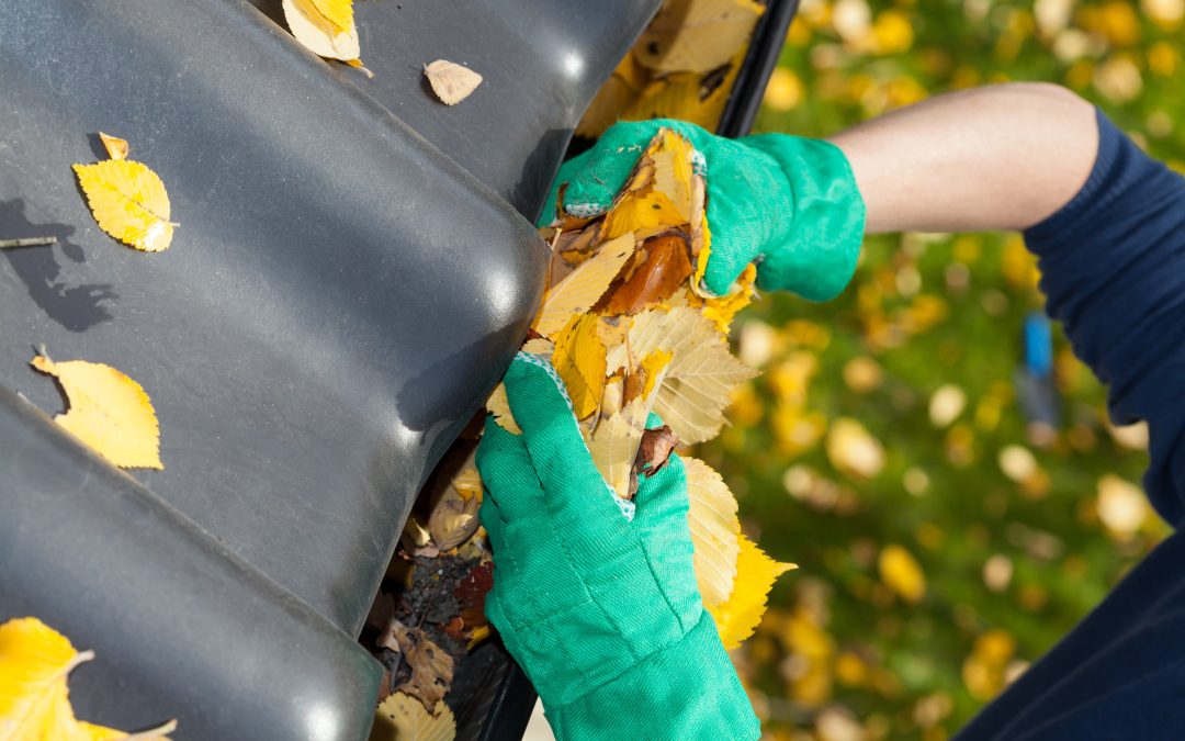 5 Key Benefits of Choosing a Leaf Guard Company in South Deerfield, MA Homeowners Trust