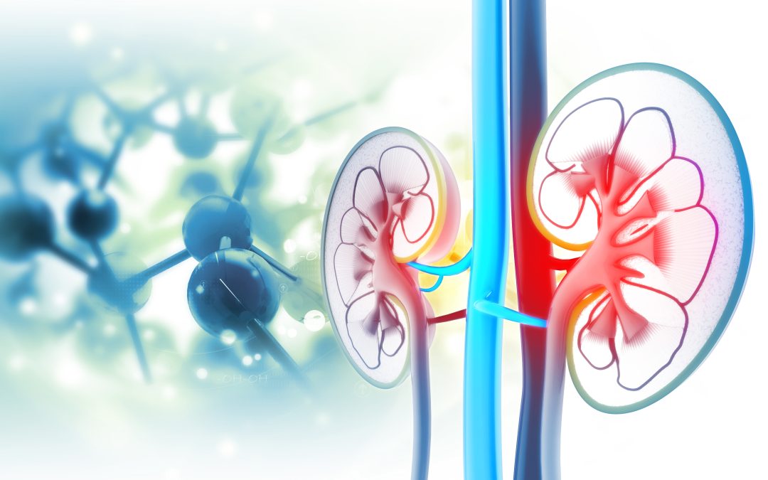 Staying Healthy With the Expert Support of Nephrology Dialysis Care Prattville AL