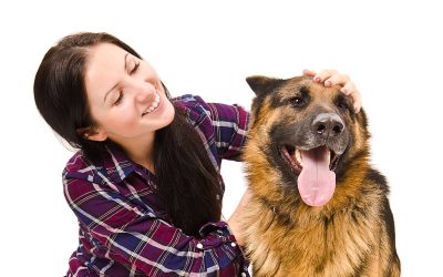Finding Reliable Pet Grooming Services Wisconsin Rapids WI for Stress-Free Care