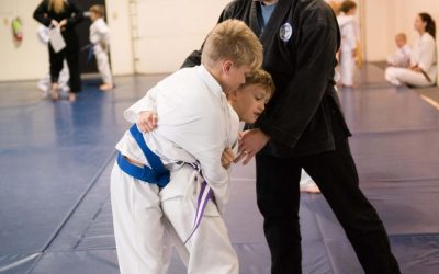Stress Relief and Wellness Benefits With Martial Arts For Adults in Loveland CO