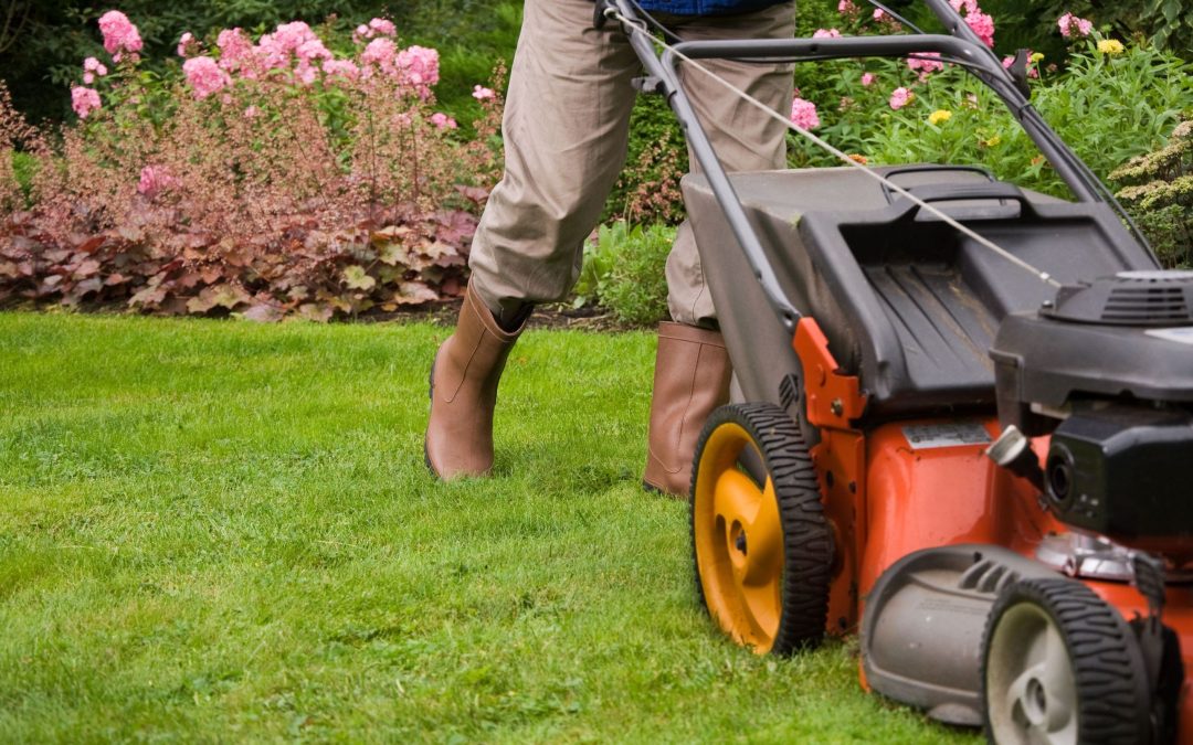 Boost Home Curb Appeal Using Lawn Maintenance Services in Winter Garden, FL